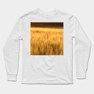 Couch Grass Long Sleeve T-Shirt